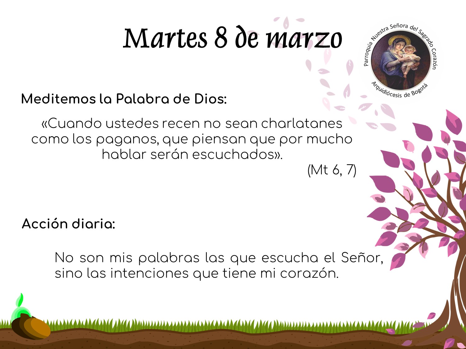 dia7cuaresma
