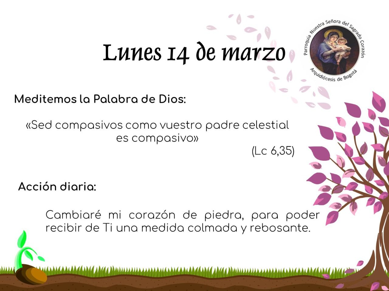 dia13cuaresma