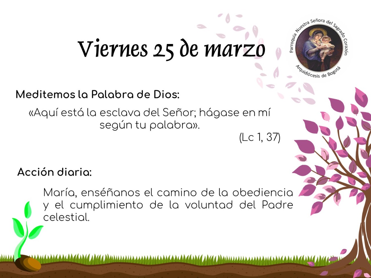 dia24cuaresma