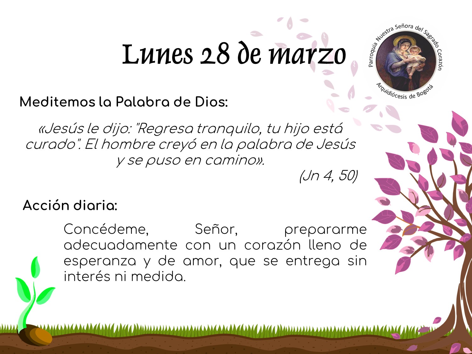 dia27cuaresma