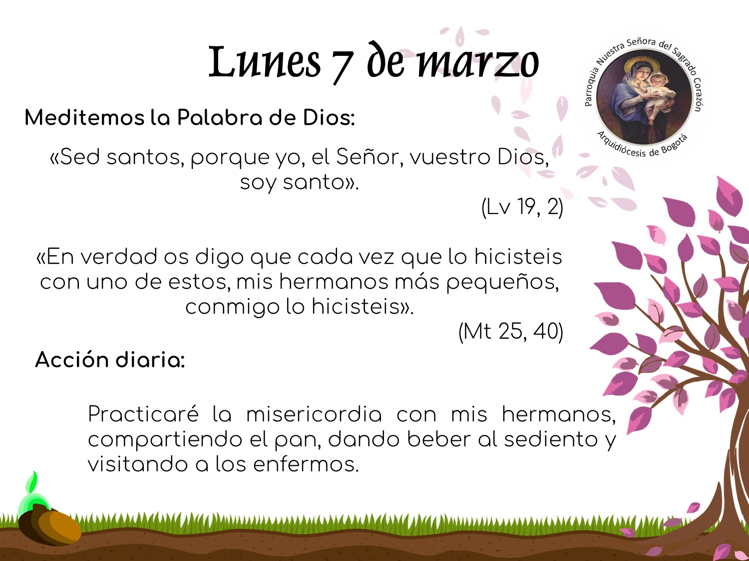 dia6cuaresma