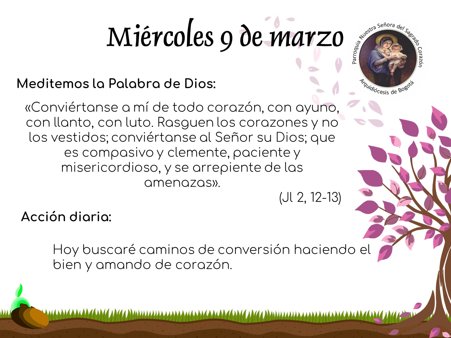 dia8cuaresma