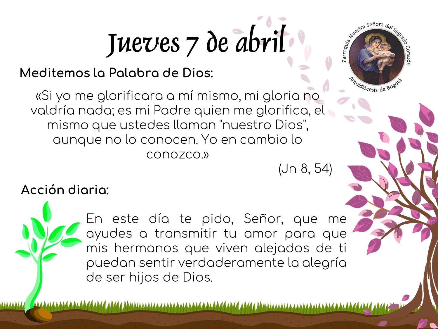 dia37cuaresma