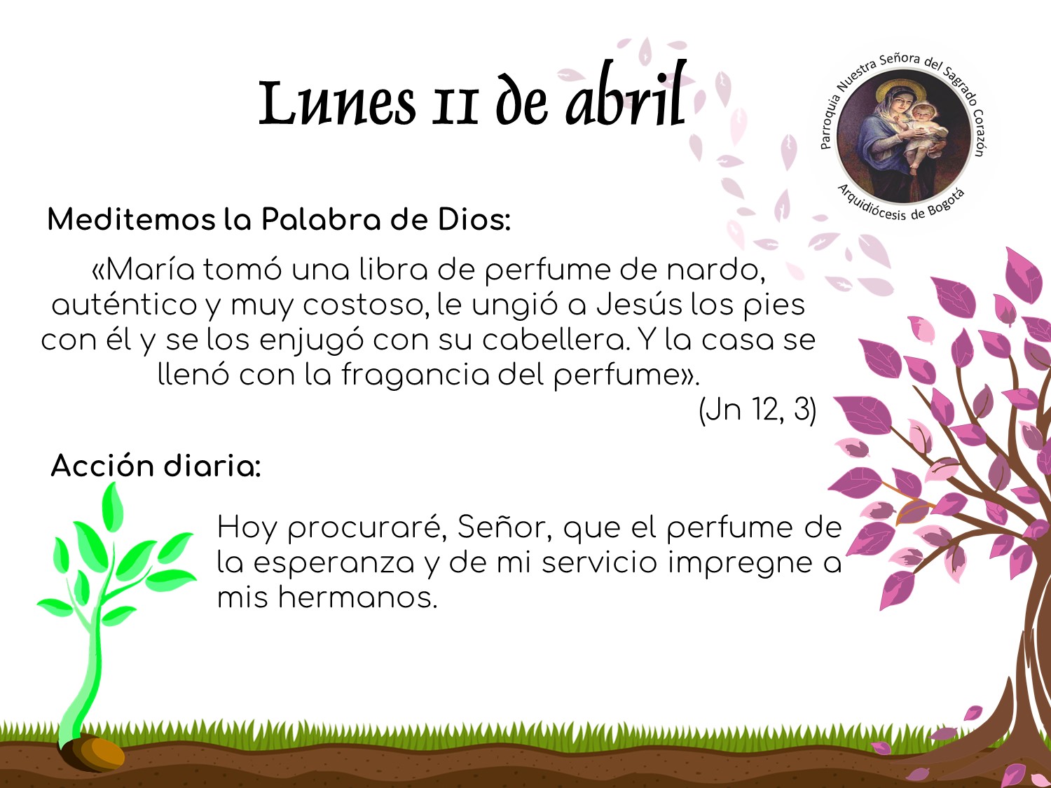 dia41cuaresma