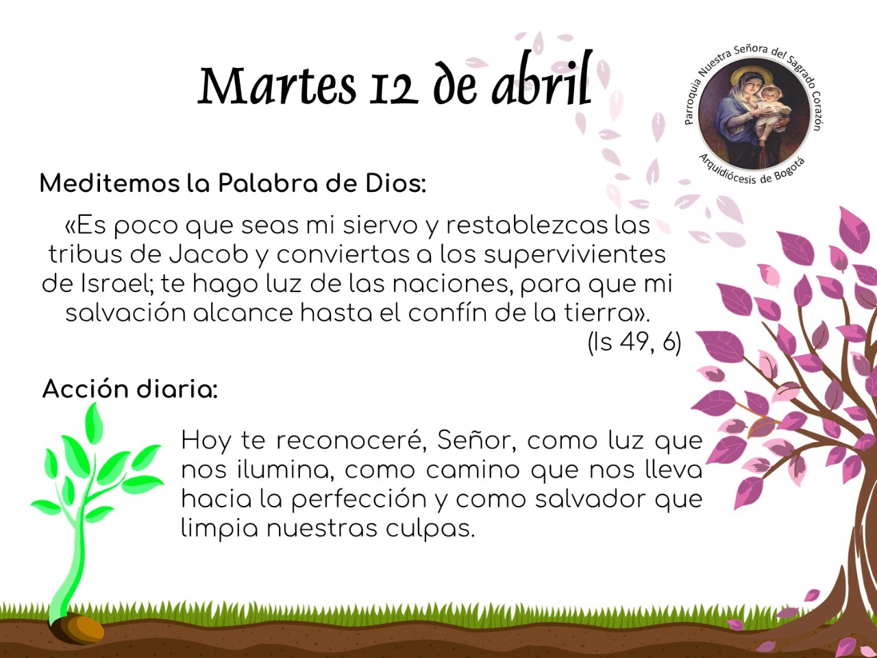 dia42cuaresma