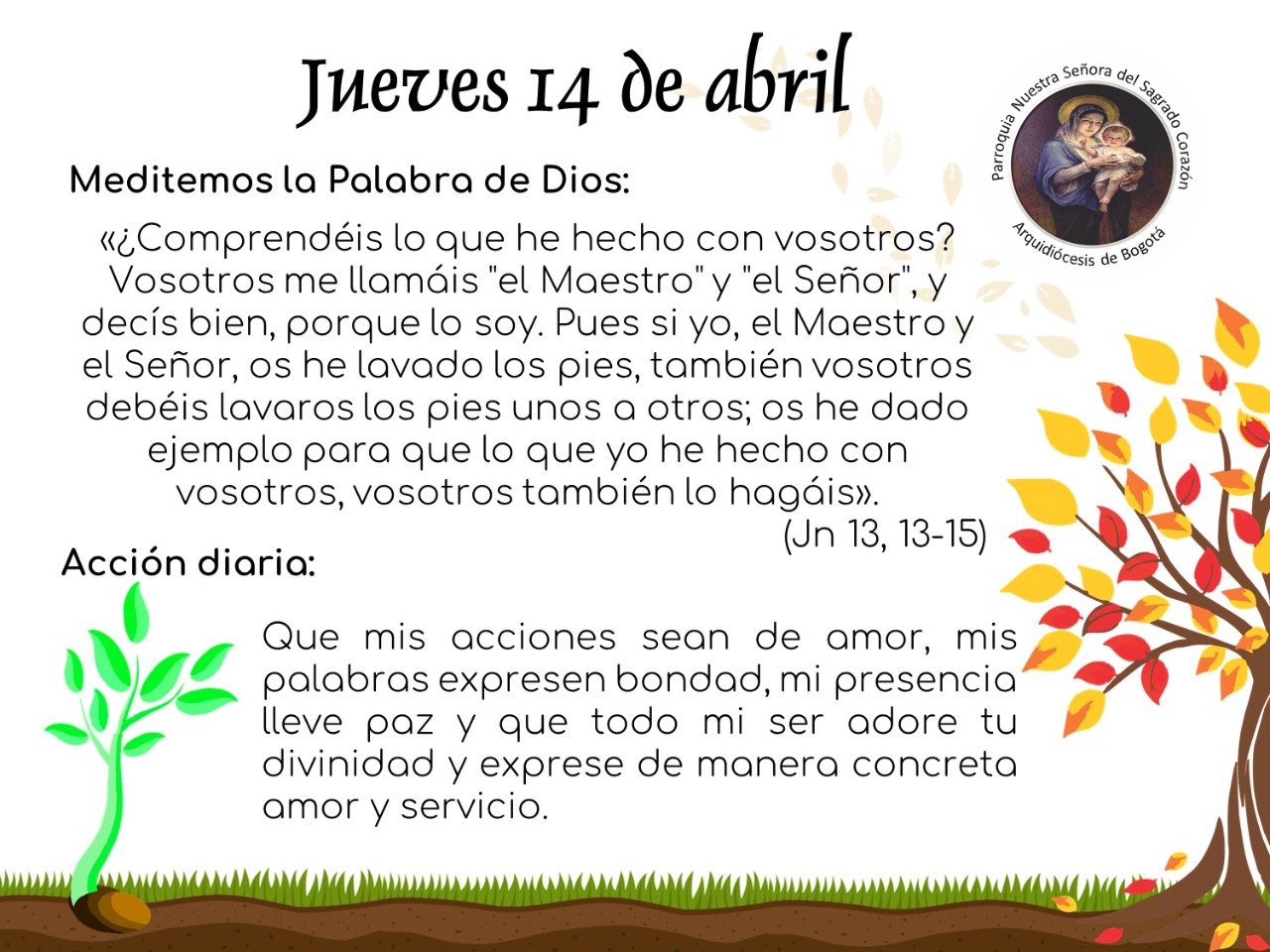 dia44cuaresma