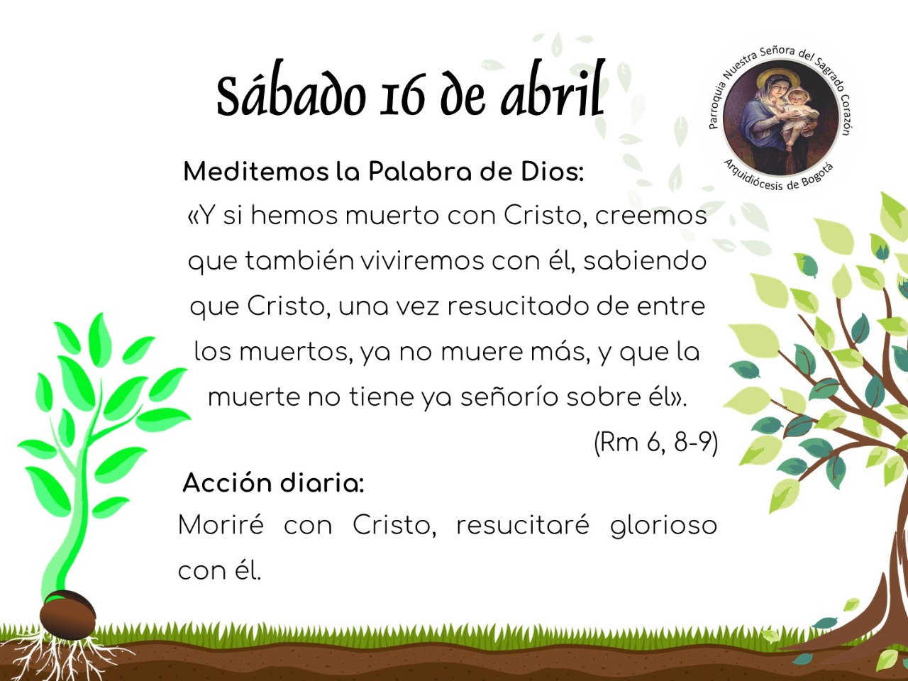 dia46cuaresma