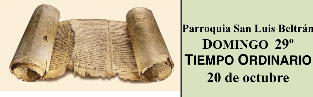 https://arquimedia.s3.amazonaws.com/280/evangelio-dominical/banner-comentarios-891jpg.jpg