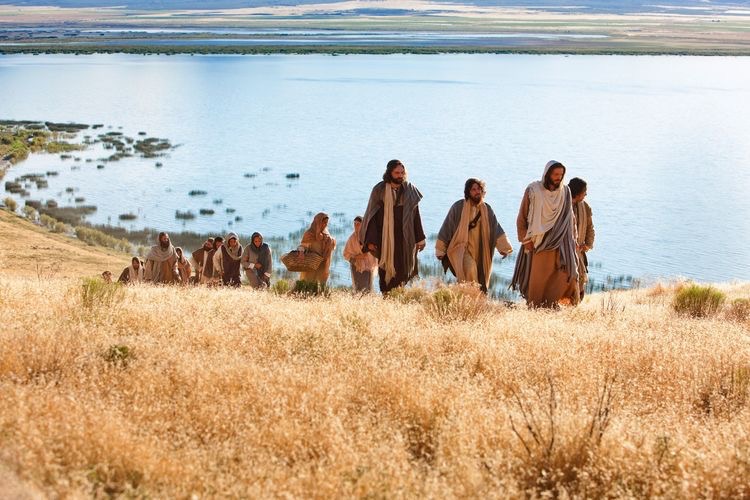 https://arquimedia.s3.amazonaws.com/280/evangelio-dominical/imagen-meditacion-876jpg.JPG