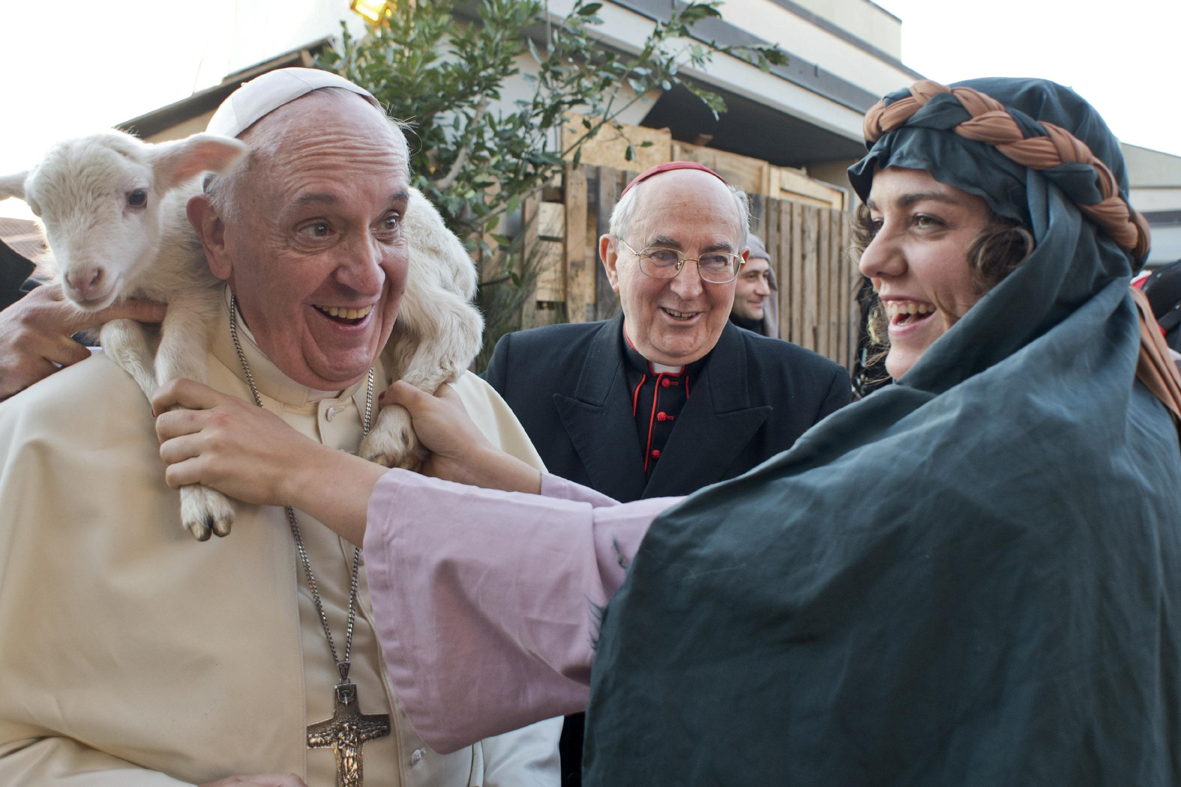 https://arquimedia.s3.amazonaws.com/27/sacerdotes/papa-francisco-oveja-1jpg.jpg