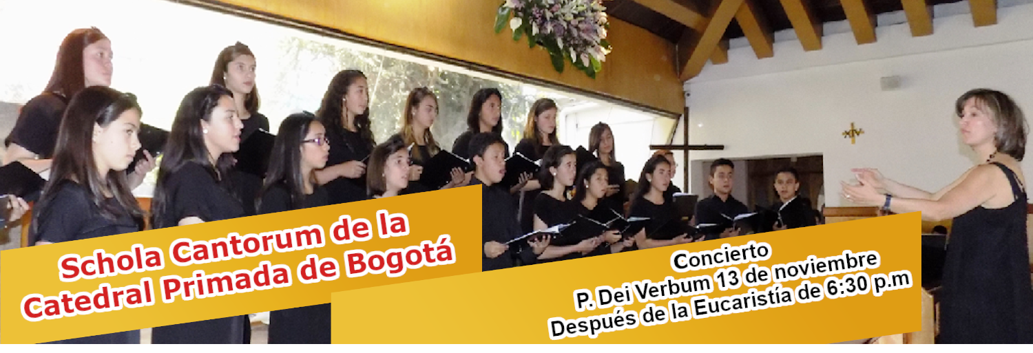 https://arquimedia.s3.amazonaws.com/256/25-anos/scholapng.png