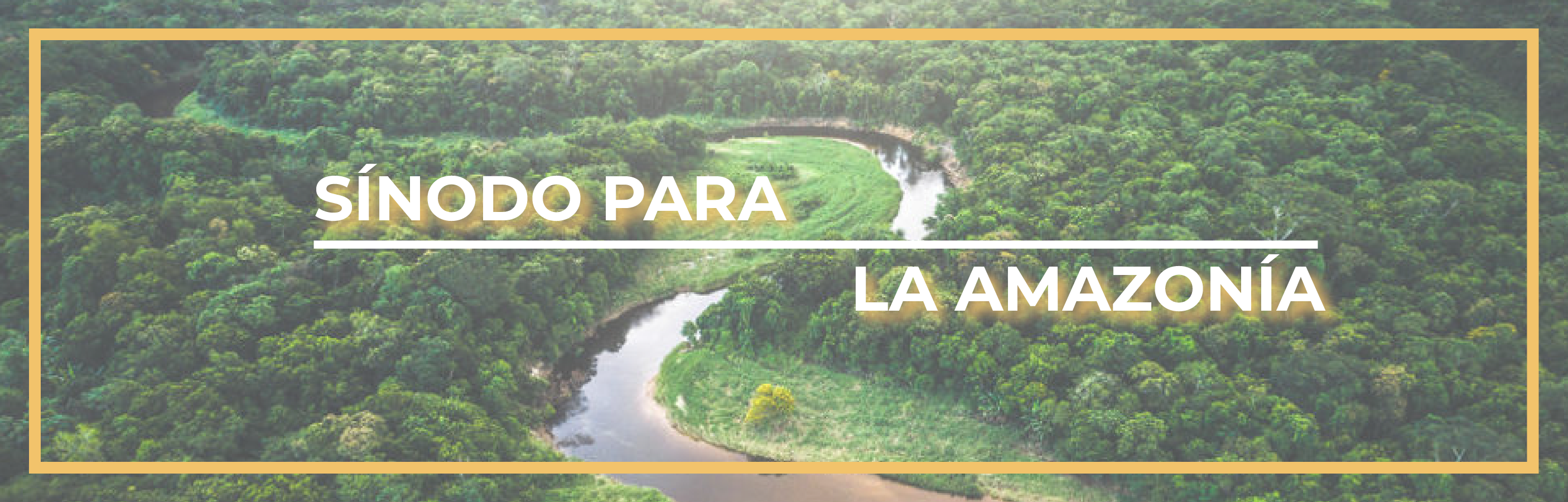https://arquimedia.s3.amazonaws.com/291/reflexion-monsenor-alvaro-vidales/sinodo-por-la-amazonia-1-1png.png