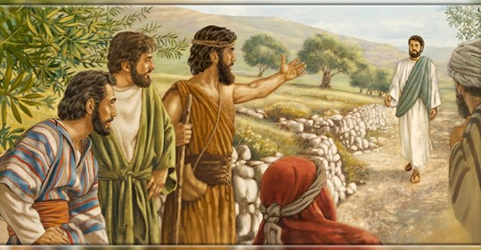 https://arquimedia.s3.amazonaws.com/264/iglesia-2019/2-domingo-tiempo-ordinariopng.PNG