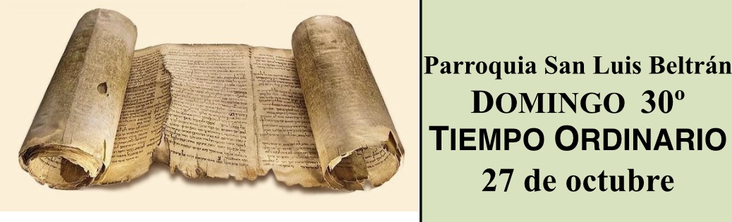 https://arquimedia.s3.amazonaws.com/280/evangelio-dominical/banner-comentarios-830jpg.jpg