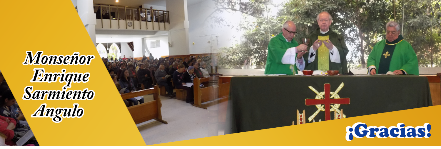 https://arquimedia.s3.amazonaws.com/256/25-anos/bannermnonsenorenriquepng.png