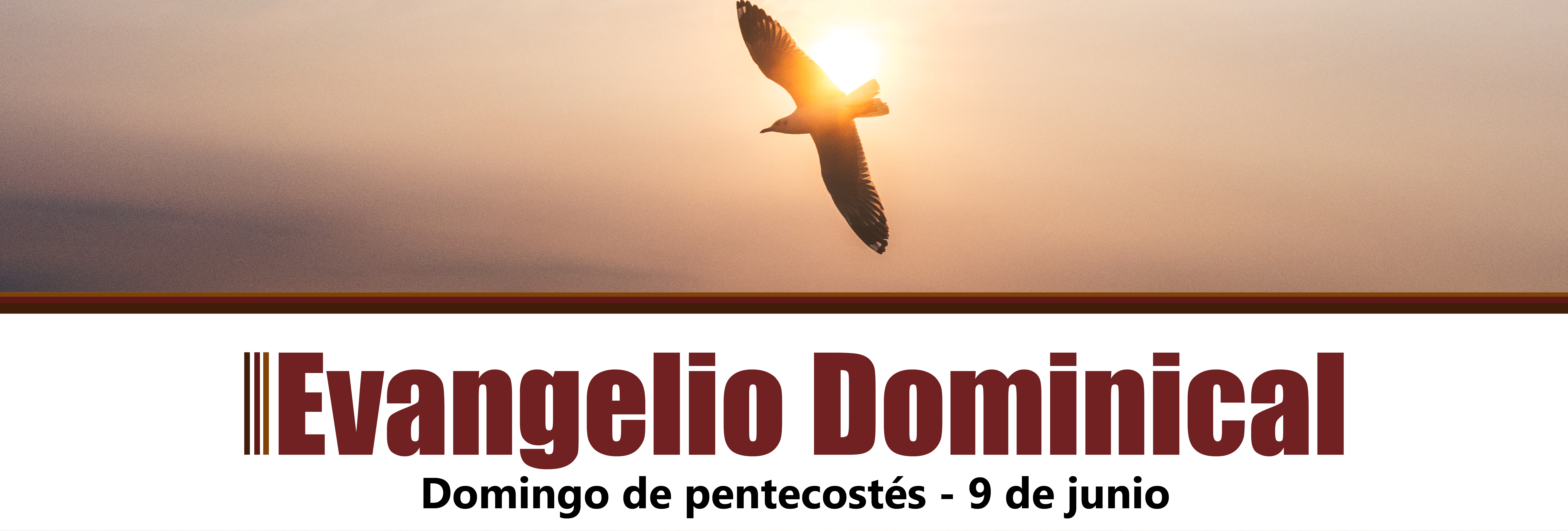 https://arquimedia.s3.amazonaws.com/28/evangelio-dominical/7062019-01jpg.jpg