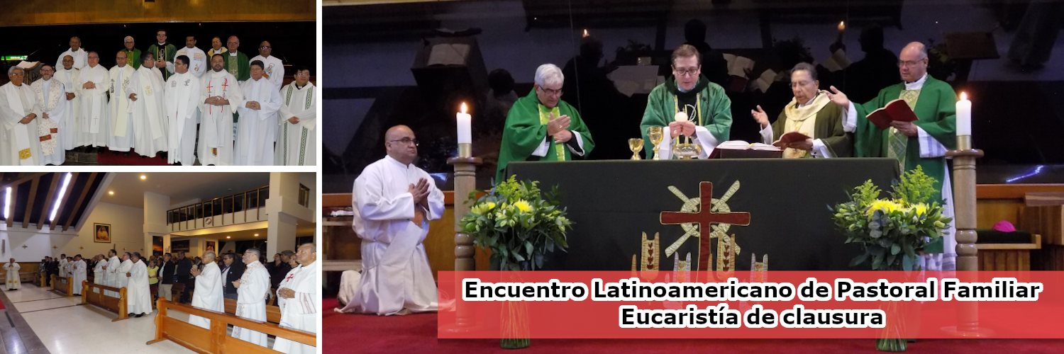 https://arquimedia.s3.amazonaws.com/256/noticias/bannercelampng.png