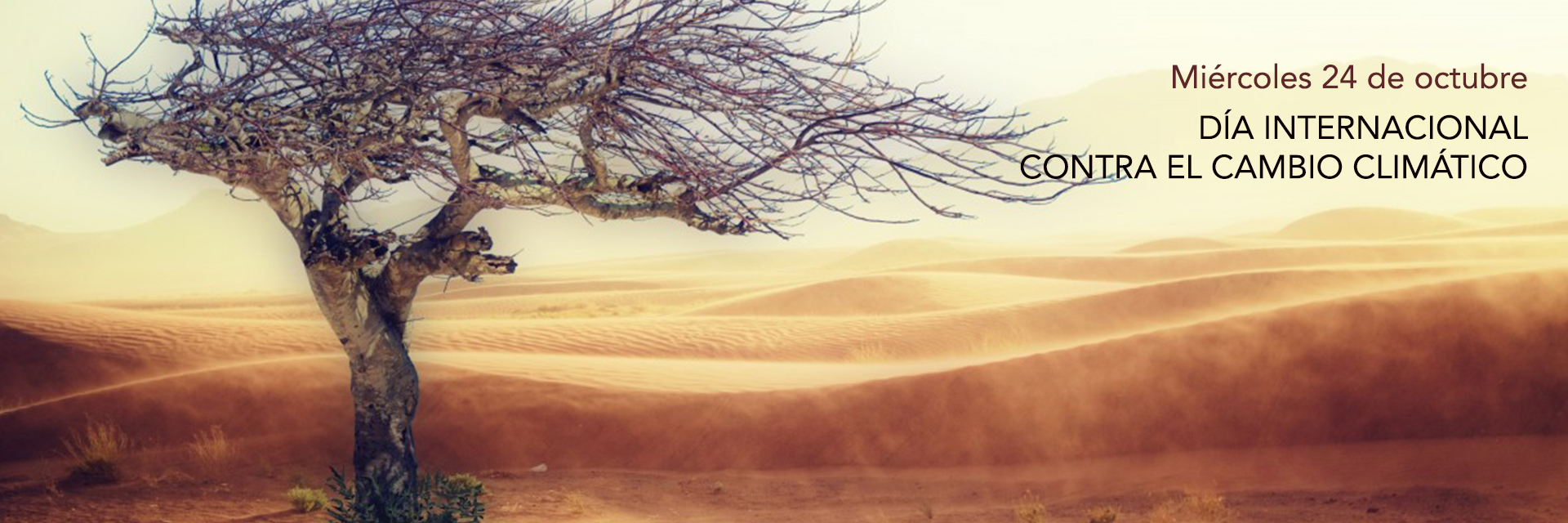 https://arquimedia.s3.amazonaws.com/1/2017/banner--cambio-climaticojpg.jpg