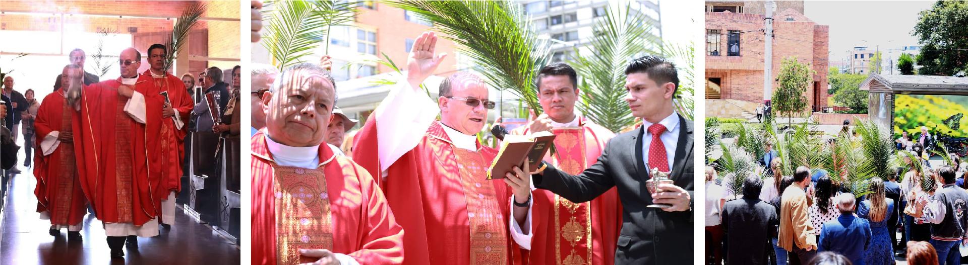 Domingo de Ramos Domingo de Ramos