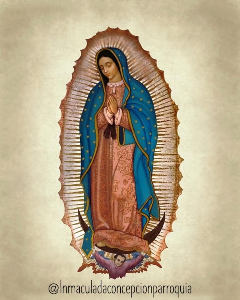 VIRGEN DE GUADALUPE