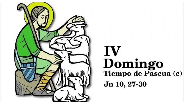 IMAGEN