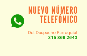 nuevo WP rel
