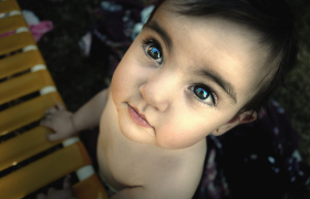 bebe